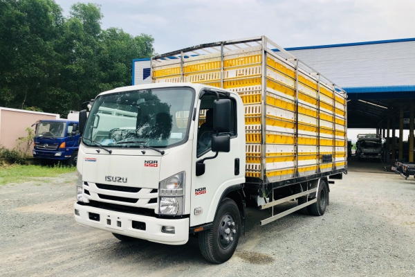 ISUZU NQR Chở gà lồng