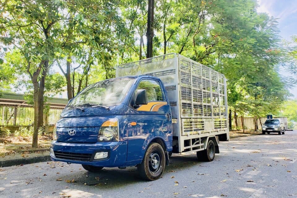 HYUNDAI H150 Chở gà lồng