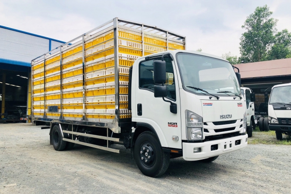 ISUZU NQR Chở gà lồng