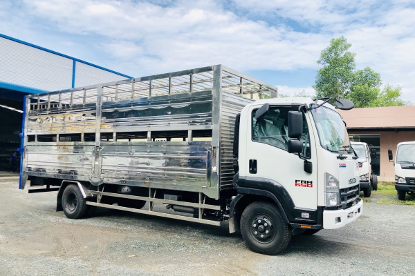 ISUZU FRR chở heo 2 tầng