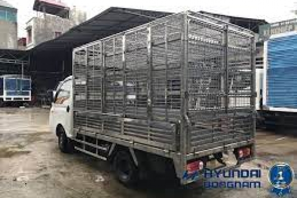 HYUNDAI H150 Chở gà lồng