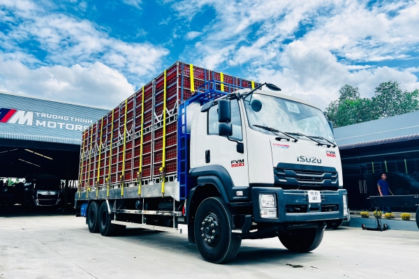 ISUZU FVM 6x4 chở gia cầm